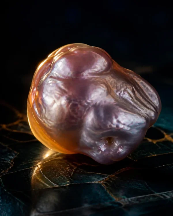 Vacuum Sealed Oyster Pearl, Edison