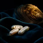 Vacuum Sealed Oyster Pearl, Rice