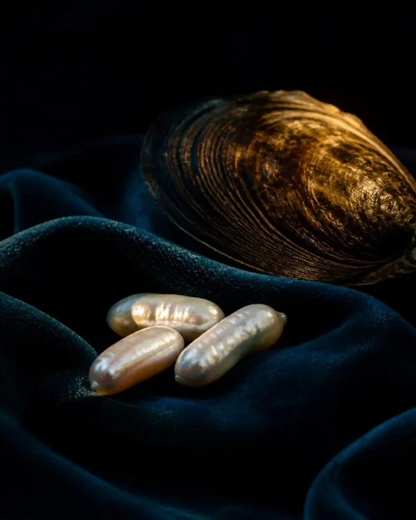 Vacuum Sealed Oyster Pearl, Rice